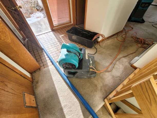 Best Commercial water damage restoration  in Lake Andes, SD