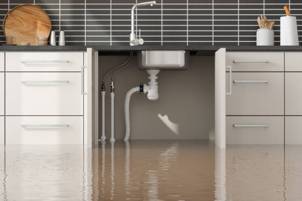 Best Local water damage restoration  in Lake Andes, SD