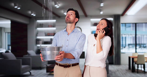 Best Flood damage cleanup  in Lake Andes, SD
