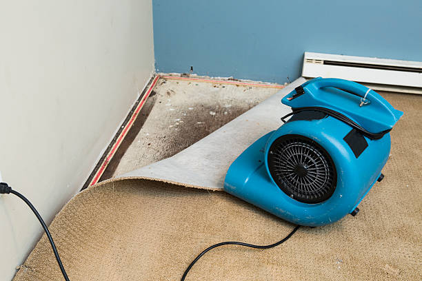 Sewage cleanup and water damage restoration in Lake Andes, SD